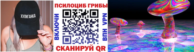 Купить где  Назрань  Галлюциногенные грибы мицелий 
